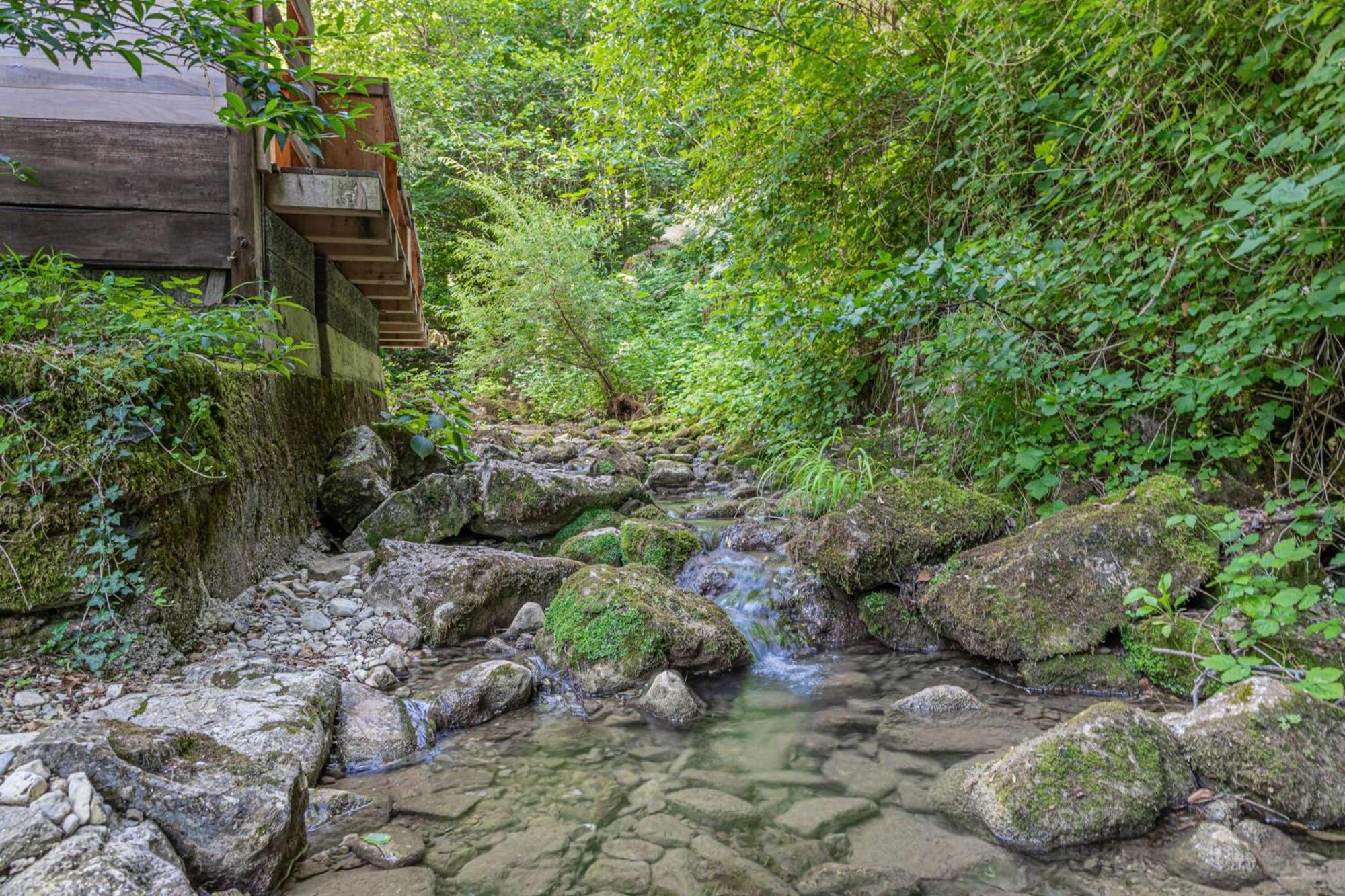 House By The Stream - Happy Rentals Avce Exterior foto