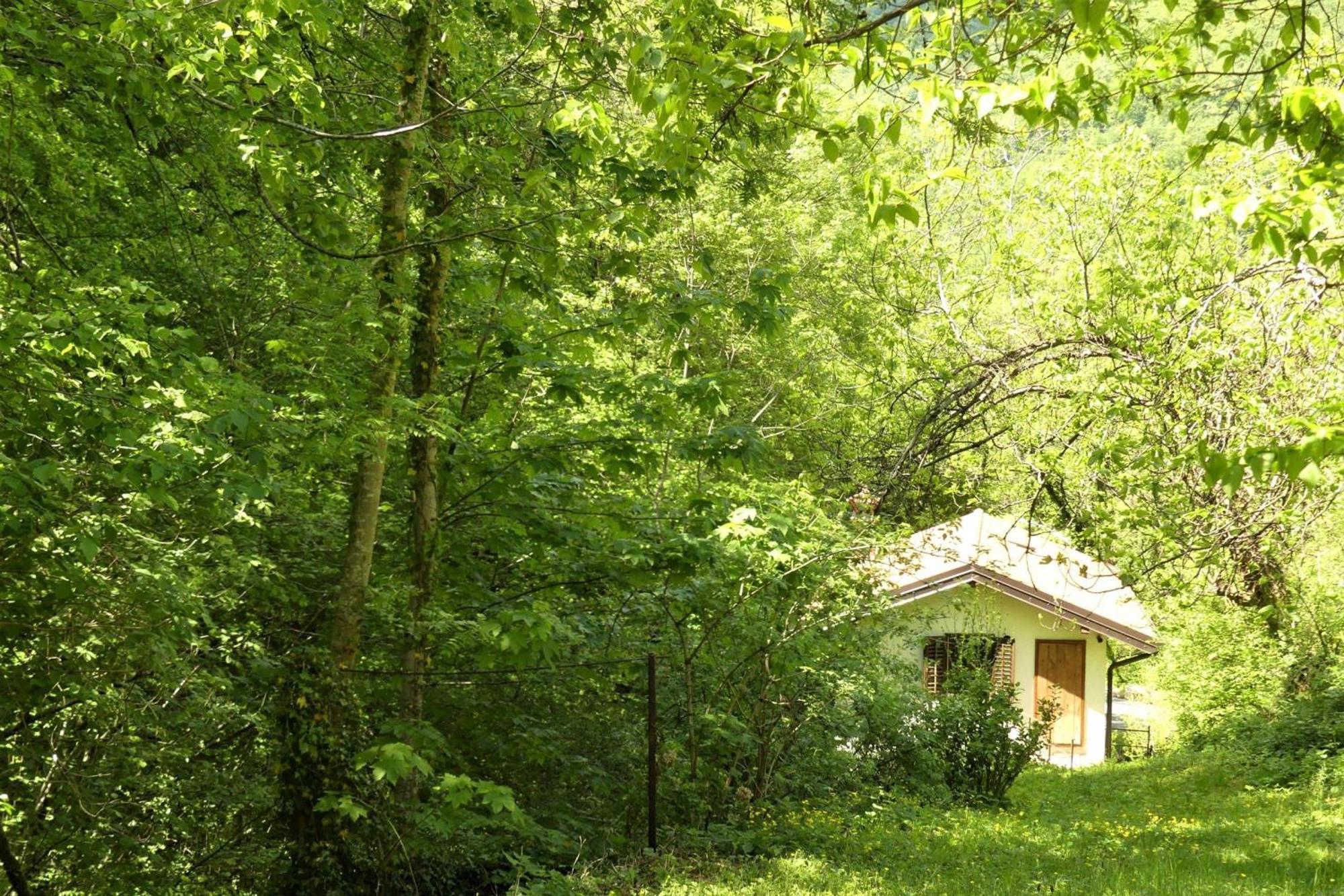 House By The Stream - Happy Rentals Avce Exterior foto